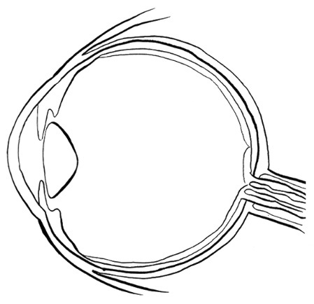 Gastown Optometry