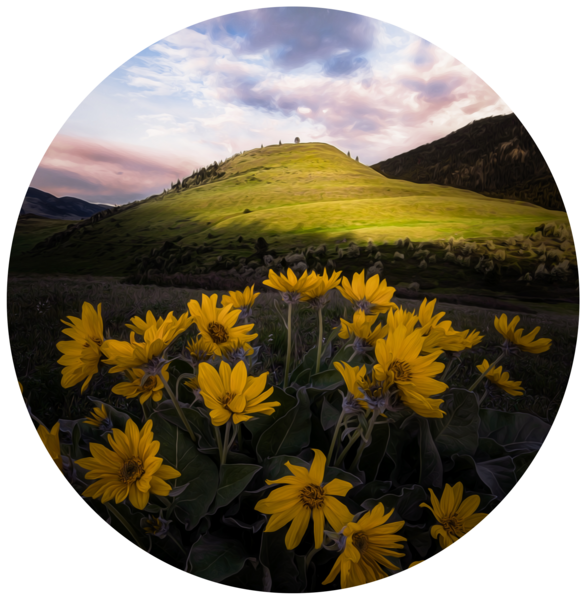 Valleyside Integrative Health