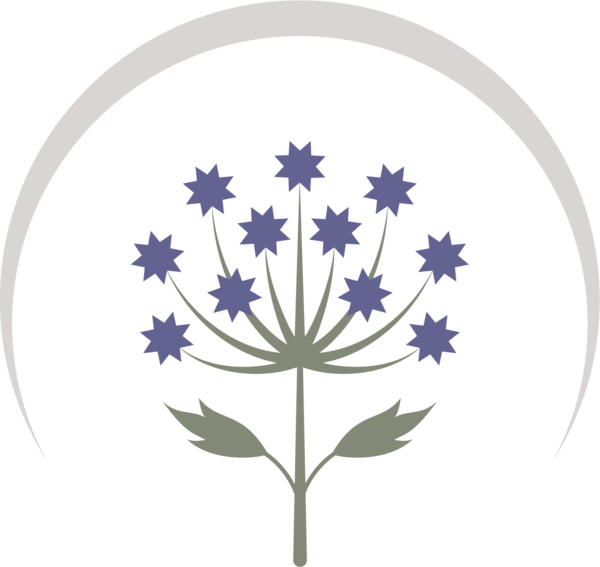 Angelica Herbal