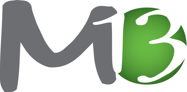 Massothérapie 13 & Ostéopathie