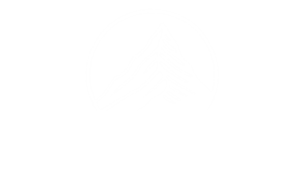 Lift Collective