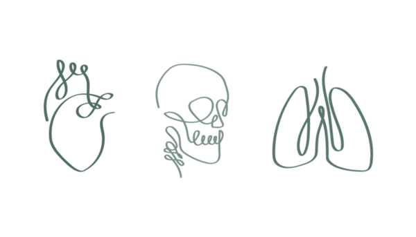 Berk Osteopathy